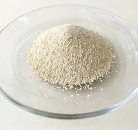 L-Lysine HCL 98,5 % en granulés de qualité alimentaire pour l'alimentation des volailles, des porcs, des ruminants et de l'aquaculture - Favorise la nutrition