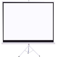 Trépied Portable pour écran de projection publicitaire, écran de 120 pouces, avec support de projecteur pour salle de classe