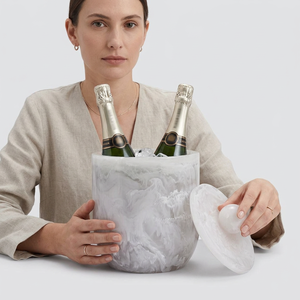 Luxury Resin Ice Tube Wine & for Bucket Handmade Double Wall Fruit Pattern <b>Bar</b> Accessory - Product Image 1