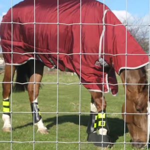 ลวดเหล็กชุบสังกะสีแบบจุ่มร้อน แผงรั้วฟาร์มปศุสัตว์ 50/100 เมตรต่อม้วน สำหรับแพะ วัว ควาย กวาง - Product Image 2