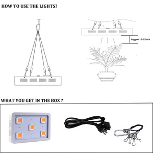 COB à spectre complet hydroponique <span class=keywords><strong>de</strong></span> plantes d'intérieur et <span class=keywords><strong>de</strong></span> fleurs 900W LED lampe <span class=keywords><strong>de</strong></span> croissance des plantes - Product Image 4