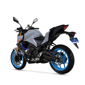 <span class=keywords><strong>Motocicleta</strong></span> Hyper Naked de 250cc, Estilo <span class=keywords><strong>MT</strong></span>, 4 Tiempos, Refrigeración Líquida, Moto Deportiva Urbana para Adultos, Venta al Por Mayor de Fábrica - Product Image 4