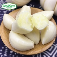 Ail en gousses pelé frais nouvelle récolte fabriqué en Chine prix 100% pur paquet de 1 kg