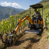 Mini Excavator 0.6t-4t, Excavator Kecil Beroda Karet untuk Ruang Sempit, Proyek Kebun dan Halaman Belakang