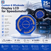 Velocímetro Monocromático de Siete Segmentos con Pantalla LCD para Motocicleta