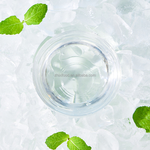 930g de <span class=keywords><strong>sirop</strong></span> aromatisé Ice Cooling Sense pour cocktail ou café - Product Image 2