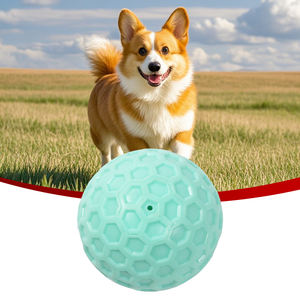 OEM fabbrica all'ingrosso all'aperto interattivo durevole squeakying cane chew tpr palla giocattoli - Product Image 1
