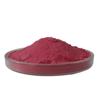 Poudre de baie miracle 100% naturelle de haute qualité, poudre de Synsepalum dulcificum lyophilisée pour usage alimentaire