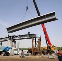 Puente de Acero de Alta Eficiencia y Durabilidad, Estructura de Arco Prefabricada con Protección Anticorrosión para la Construcción de Autopistas