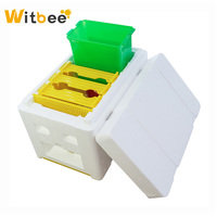 Witbee B-22 Boîte d'accouplement mini en polystyrène jaune et blanc pour reine, 3 cadres, pour l'élevage des reines et la pollinisation, Nouvel équipement apicole