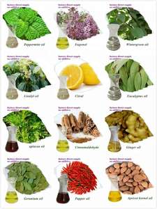 Approvisionnement Direct Usine : Huile Essentielle <span class=keywords><strong>de</strong></span> <span class=keywords><strong>Vanille</strong></span> 100% <span class=keywords><strong>Pure</strong></span>, Huile <span class=keywords><strong>de</strong></span> <span class=keywords><strong>Vanille</strong></span> <span class=keywords><strong>de</strong></span> Haute Qualité, <span class=keywords><strong>Essence</strong></span> <span class=keywords><strong>de</strong></span> <span class=keywords><strong>Vanille</strong></span> <span class=keywords><strong>de</strong></span> Première Qualité pour la Fabrication <span class=keywords><strong>de</strong></span> Bougies - Product Image 6