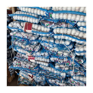 Ajo verde Nueva cosecha Verduras <span class=keywords><strong>verdes</strong></span> frescas de <span class=keywords><strong>China</strong></span> Exportación España Indonesia Ajo blanco normal Fresco - Product Image 2