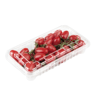 Thanh Đảo Nhà Cung Cấp Bán Buôn 125G 250G 500G Blueberry <span class=keywords><strong>Raspberry</strong></span> Blackberry Vỏ Sò Punnet Berry Trái Cây Bao Bì Container Hộp - Product Image 5