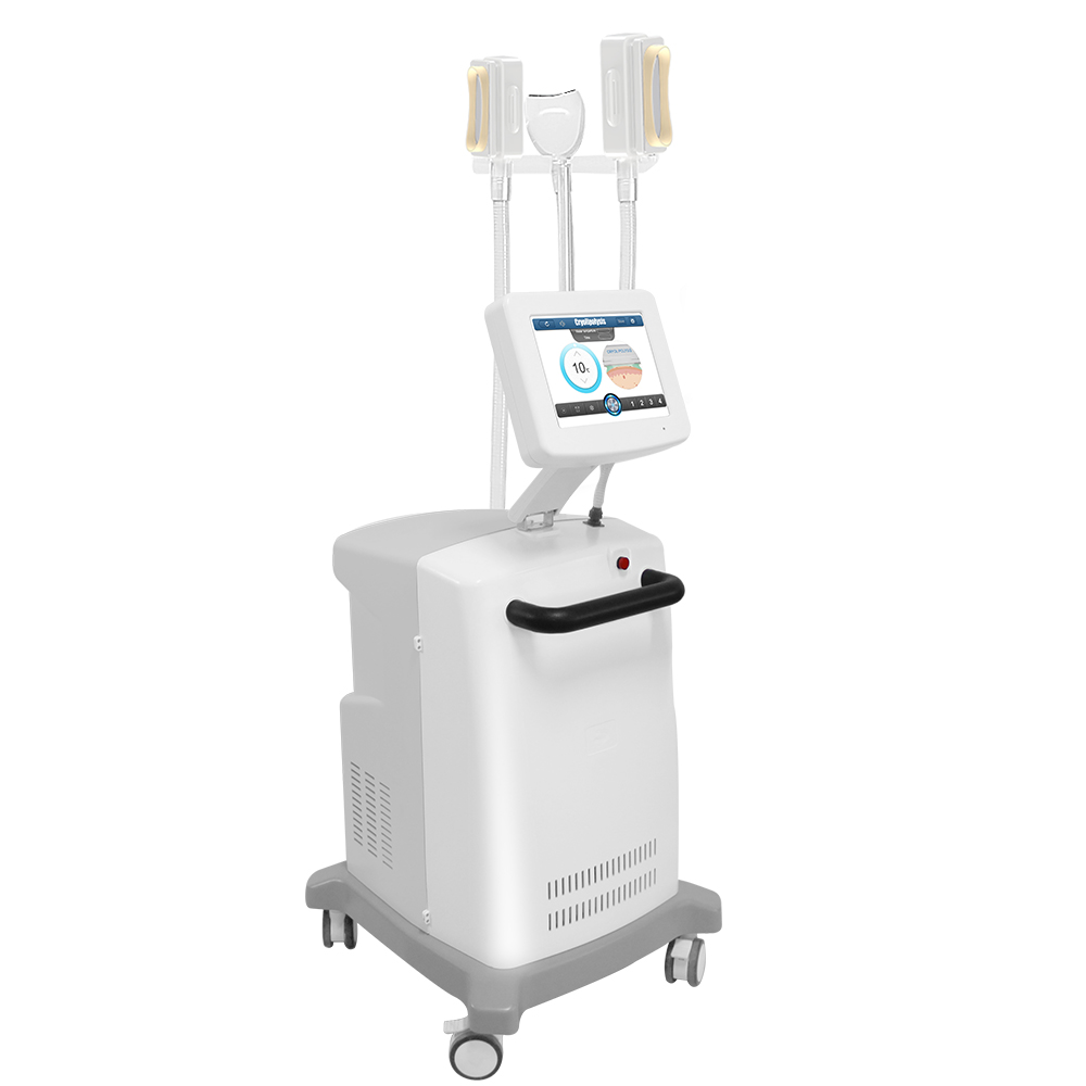 Painless 3 Handles Cryolipolysis Fat Freezing Machine Body Double Chin Removal