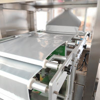 Auto Weighing Granular Bag Packaging Machine PLC Touch Screen for Snack Sugar Peanut Pouch Packing