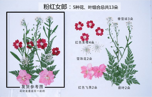 Pétales de fleurs séchées pour <span class=keywords><strong>ongles</strong></span>, 100 pièces, naturelles, pour bricolage, bougie, bijoux, pendentif artisanal, fabrication de décor artistique - Product Image 2