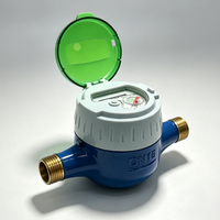 R315 Mechanical Flow Water Meter 1/2 Inch Horizontal Volumetric Cold Water Meter IP68 Protection DN15 OEM Customizable