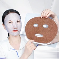 Masque Détoxifiant Professionnel Personnalisé aux Algues Marines, Masque Purifiant aux Graines d'Algues Riches en Minéraux pour les Pores, Fourniture en Gros, Masque Facial de Massage, OEM