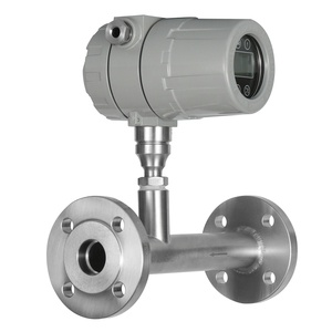 Meteran Aliran Massa Coriolis, Flowmeter Aliran Gas, Flowmeter Gas Massa Termal Oksigen