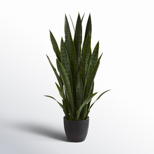 Venta caliente Artificial Tigre Orquídea Serpiente <span class=keywords><strong>Plantas</strong></span> Bonsai <span class=keywords><strong>Plantas</strong></span> para <span class=keywords><strong>Amazon</strong></span> Planta de decoración artificial - Product Image 1