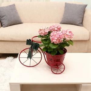 Soporte para Macetas de Metal Moderno Hecho a Mano, Soportes Ecológicos para Plantas de Interior y Exterior, Resistentes al Agua - Product Image 3