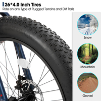 JOYKIE Vélo Tout Terrain Populaire avec Pneus Larges, Vélo Fatbike pour Hommes, Vélo des Neiges avec Pneus Larges 20/24/26 Pouces