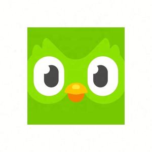 Cuenta Premium Duolingo Pro 1 Año, Activa Tu Propia Cuenta, Aplicable Globalmente en Todo el Mundo - Product Image 3