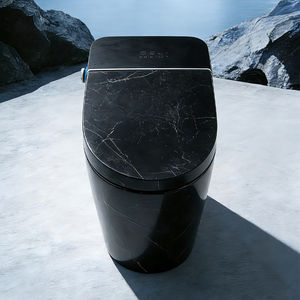 GUIXIN Smart <strong>Toilet</strong> CE Certified for European Use Black Marble-patterned Ceramic Remote Control Included P-trap/S-trap Drainage - Product Image 2