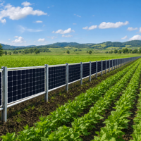 Système de montage de clôture solaire en acier galvanisé à chaud, support PV vertical pour projets agricoles, pâturages et terres ouvertes (agrivoltaïsme)