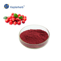 Fabrieksleverancier Voedingsmiddelkwaliteit Cranberry Extract Poeder 30% PAC's Oplosmiddelextractie UV-getest Trommelverpakking Bulk Groothandel