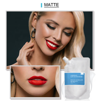 Base de gloss à lèvres végétalienne en gros, pailletée, cosmétique, maquillage nude, mat, transparente, pour DIY
