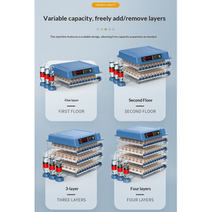 64/100/128/192/200/256/300/400Egg <b>Incubators</b> Small Smart Manufacturers Sell <b>Egg</b> <b>Incubators</b> Directly - Product Image 3