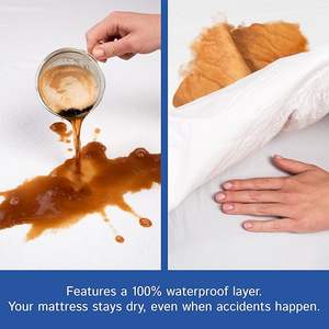 Kraliçe yatak koruyucu-fermuarlı Bedbug su geçirmez yatak örtüsü, Premium kalite hipoalerjenik yatak <span class=keywords><strong>Encasement</strong></span> beyaz - Product Image 2