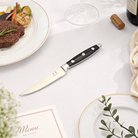 Couteaux à steak sur mesure, fabricant spécialisé, acier inoxydable de qualité supérieure, ensemble de couteaux à bords dentelés pour restaurant