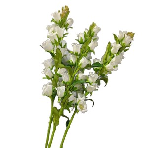 Flor Artificial de Simulación, Flor de Campana, Flor de Lirio de los Valles, Rama Individual, Azul, Pequeña, Arreglo Floral, Orquídea - Product Image 5