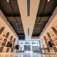 Grille de ventilation moderne en alliage d'aluminium et plastique durable, diffuseur linéaire à fentes pour le contrôle du flux d'air, installation facile, conception à 3 fentes pour