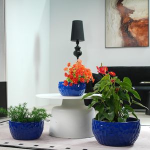 Macetas de Cerámica Mdj, 10, 12 y 15 Pulgadas, Color Azul Oscuro, Diseño Moderno con Orificio de Drenaje para Jardín - Product Image 5