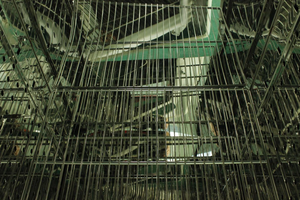 Vente directe d'usine Four à air chaud à 500 degrés/Chambre d'essai de séchage de précision expérimentale - Product Image 5