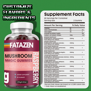 Gommes de complément à la crinière de lions et champignons avec marque privée OEM Gommes bio Reishi Cordyceps Dinde Gommes aux champignons Maitake Shiitake - Product Image 4