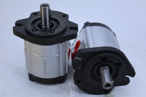Nueva Bomba de Engranajes Hidráulica CMFDA-E316/E320 de Doble Rotación, Hierro Fundido, 250 Bares, Alta Presión, 1 HP, Larga Duración - Product Image 2