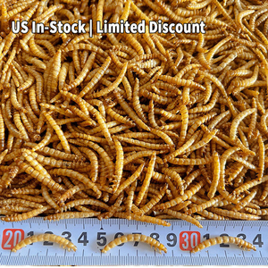 חטיף חיות מחמד עשיר בחלבון, אורגני, ללא הנדסה גנטית, קל לאיתור, בתפזורת, עשוי מחוטי קמח וצרצרים, לציפורים, צבים וגקוֹקים - מזון לחיות מחמד - Product Image 5