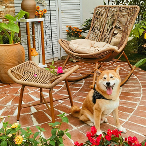 Chaises en rotin 2027, chaises longues, chaises à bascule, balcon, cour, chaises en rotin pour le loisir et la pause déjeuner des adultes - Product Image 5