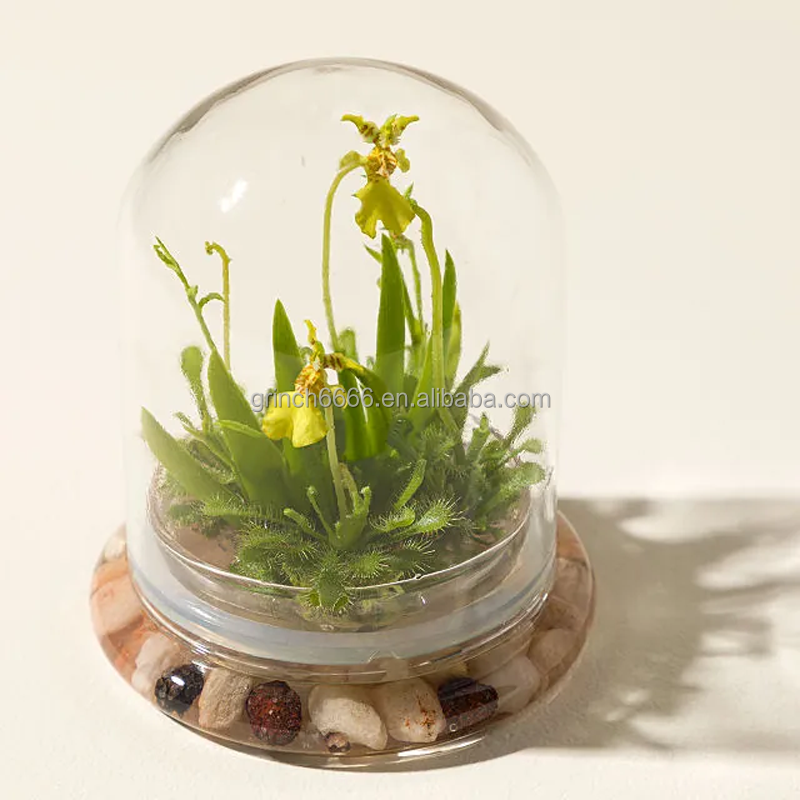 OEM Orchid Terrarium - Thumbnail 3
