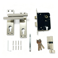 Serrure à mortaise E10 profil européen, poignées en acier inoxydable, cylindre en laiton, corps de serrure à mortaise SABS, vente en gros, ensemble complet, OEM/ODM