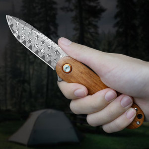 Couteau de chasse Bowie à lame dentelée en acier inoxydable de haute qualité, manche portable, couteau de poche pour le camping en plein air, vente en gros - Product Image 3