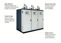 Générateur de vapeur/chaudière électromagnétique à chauffage rapide, à haute efficacité, entièrement automatique, vertical, industriel LDCR, pour sauna