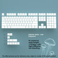 In Stock Wholesale Jellyfish White KeyCaps MDA Height Full Set 119 Keys PC Material Side-Printed Characters Translucent Keycaps