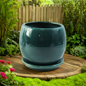 Piattaforma in ceramica succulenta e <span class=keywords><strong>Cactus</strong></span> piantatrice in gres cotto <span class=keywords><strong>con</strong></span> vassoio per la decorazione del giardino di casa e uso della scuola materna - Product Image 5