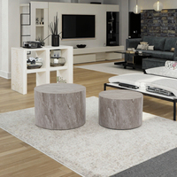 Combinaison d'autocollants 3D en MDF P2 haut de gamme de luxe léger Mobilier d'art contemporain créatif Ensemble de tables basses pour le salon