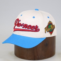 Gorra de Béisbol Moderna Azul Bebé con Visera Ligeramente Curvada, Gorras de Béisbol Blancas con Logotipo Bordado Personalizado